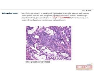 Gastrointestinal Pathology Part 1
