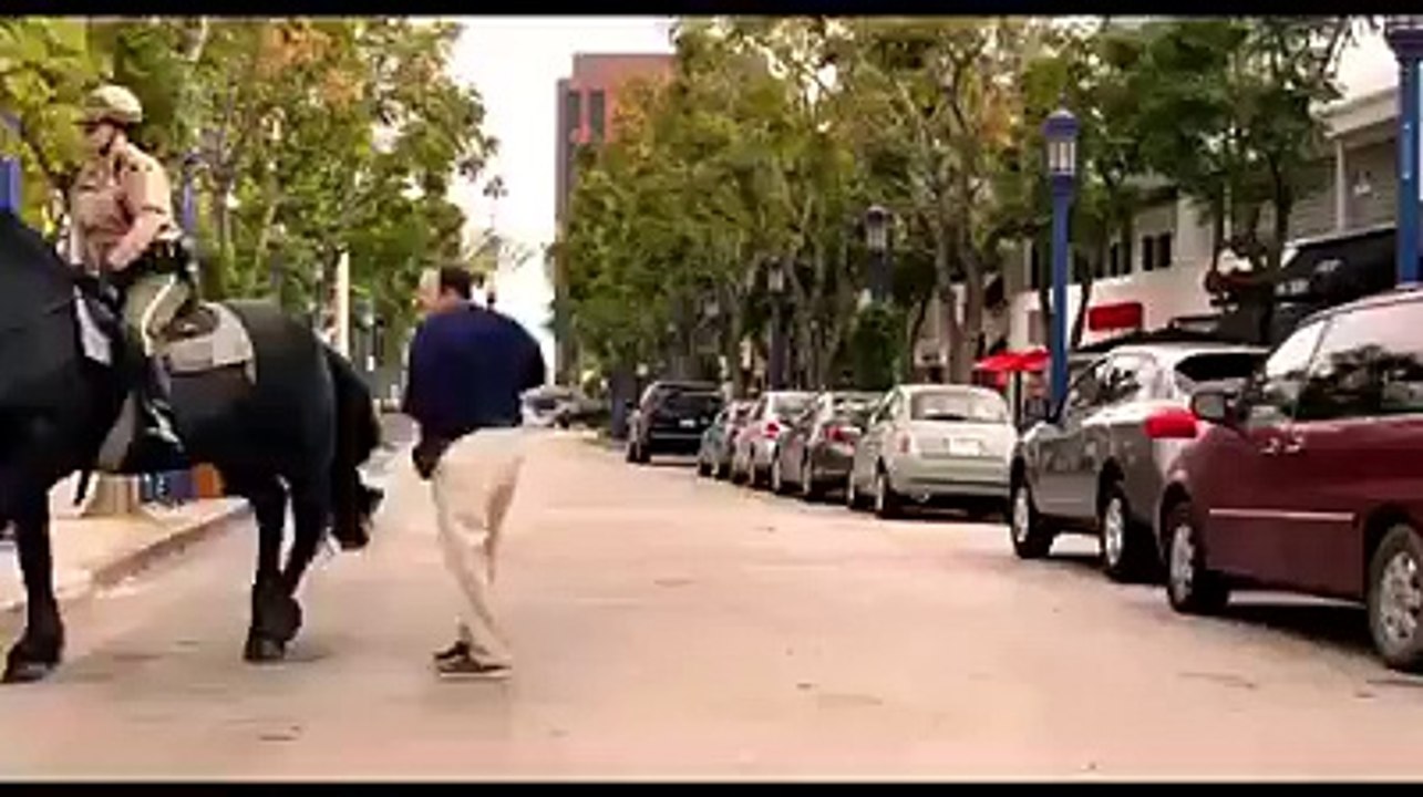 funny horse video
