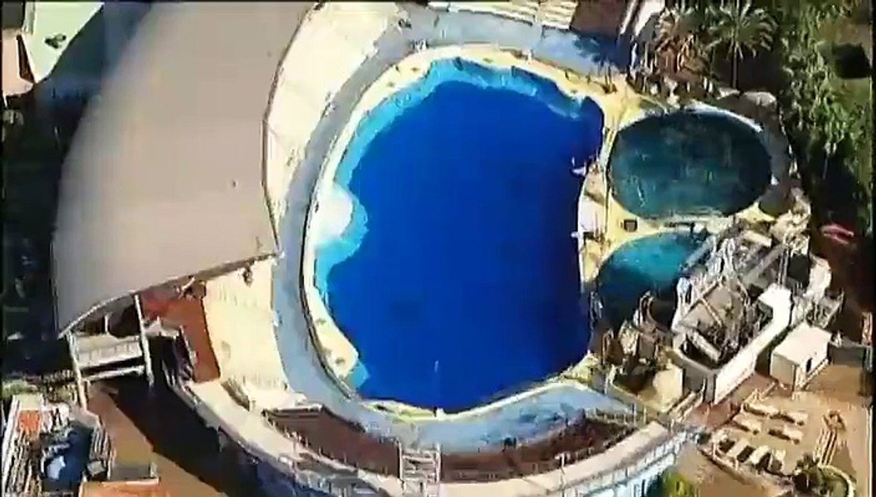 Intempéries dans le Sud-Est : le Marineland d'Antibes durement touché