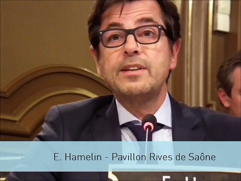 Pavillon rives de Saône