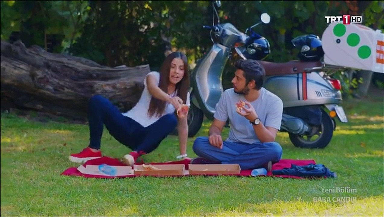 trt 6