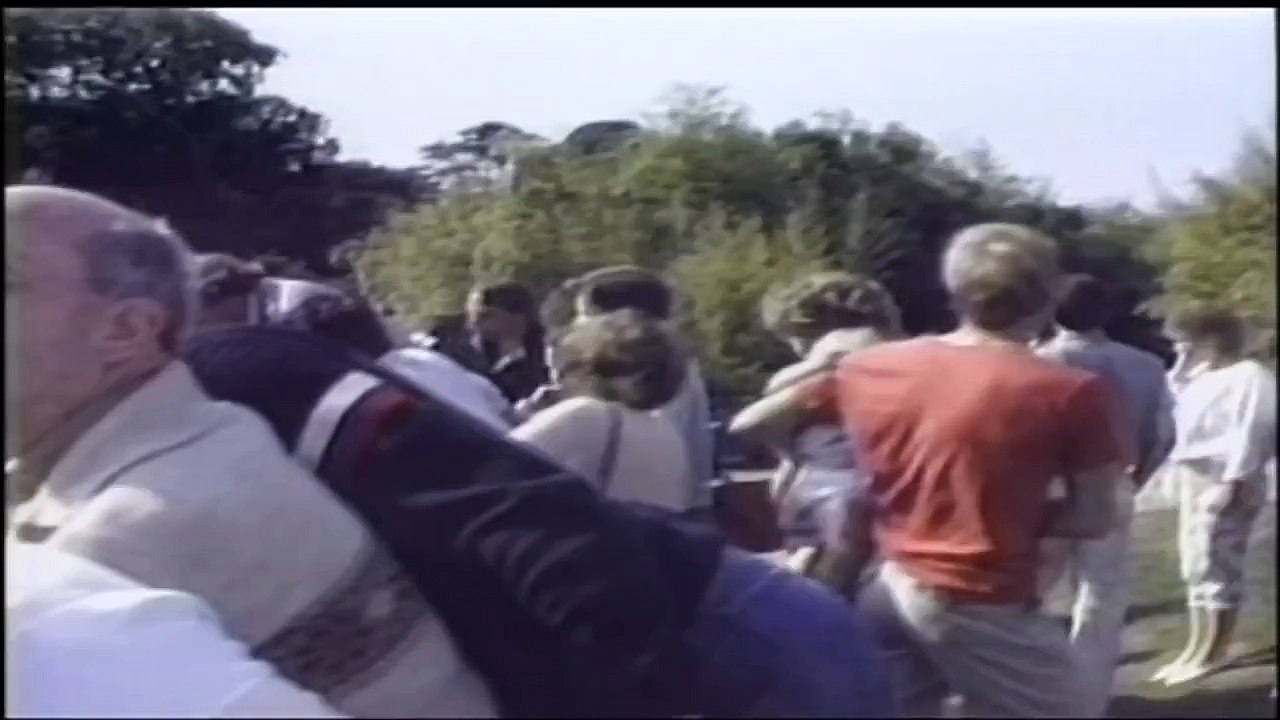 La touchante réaction d'un gorille