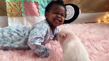 This Little Girl And Her Baby Pig Are The Cutest BFFs Ever