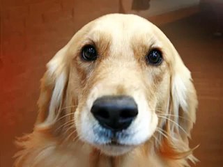 el video mas corto de 2 segundos