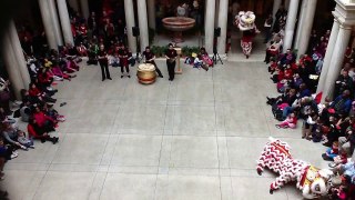 Chinese New Year Lion Dance Show