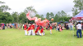 Chinese Dragon Dance New Year