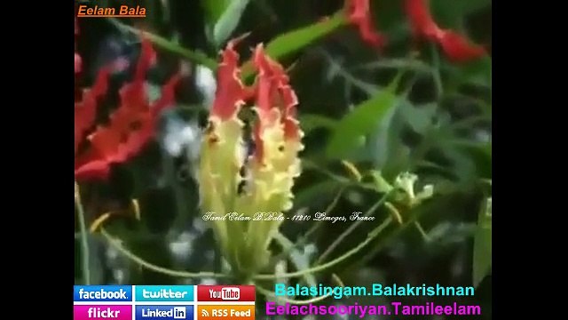 LTTE Pirapakaran Birthday Songs - TamilEelam Yaal Nallur B.Bala - 87280 Limoges, France