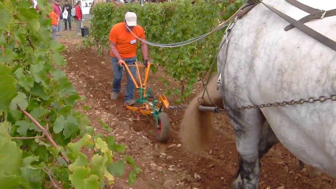 Tech&Bio-2015-test-proto-Vignotte, pour Hippotese