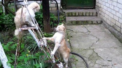 Удар, еще удар.)))