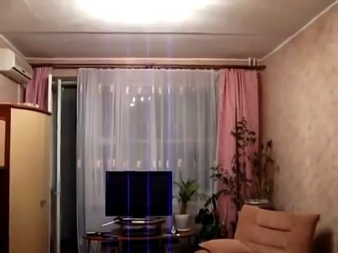 L'amusement de chat et une chauve-souris! Regardez Qui va gagner!