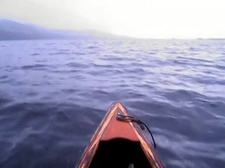 Вы когда-нибудь такое видели?!