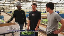 California's Largest Aquaponics Greenhouse Facility & the Dream = Aquaponics Greenhouses in Schools!