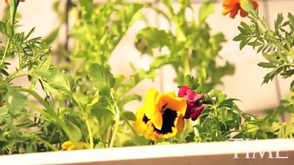 Aquaponics in High Schools. TIME Magazine Video 2010 - With Max Meyers