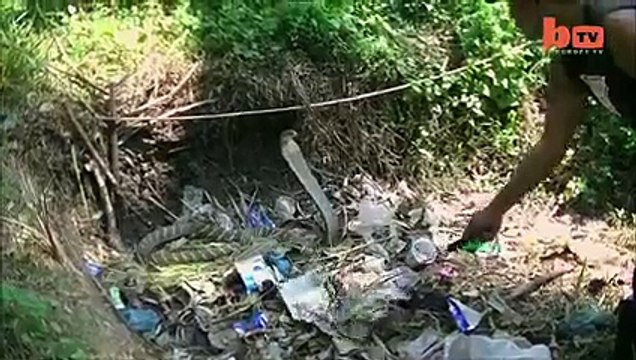 Snakes Show , Pet Snakes are not become friends