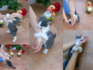 안양출장안마신속【OIO】-【2165】-【2776】１등안양출장마사지