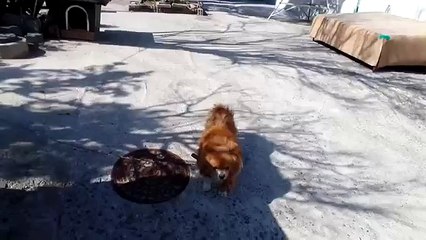 성남출장안마LTE【OIO】-【2165】-【2776】Bravo성남출장마사지