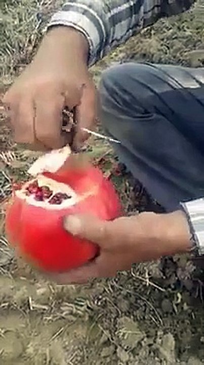انار کاٹنے کا بہترین طریقہ