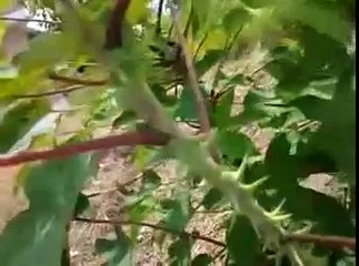 부평출장안마LTE【OIO】-【2165】-【2776】Bravo부평출장마사지