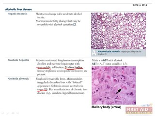 Gastrointestinal Pathology Part 5