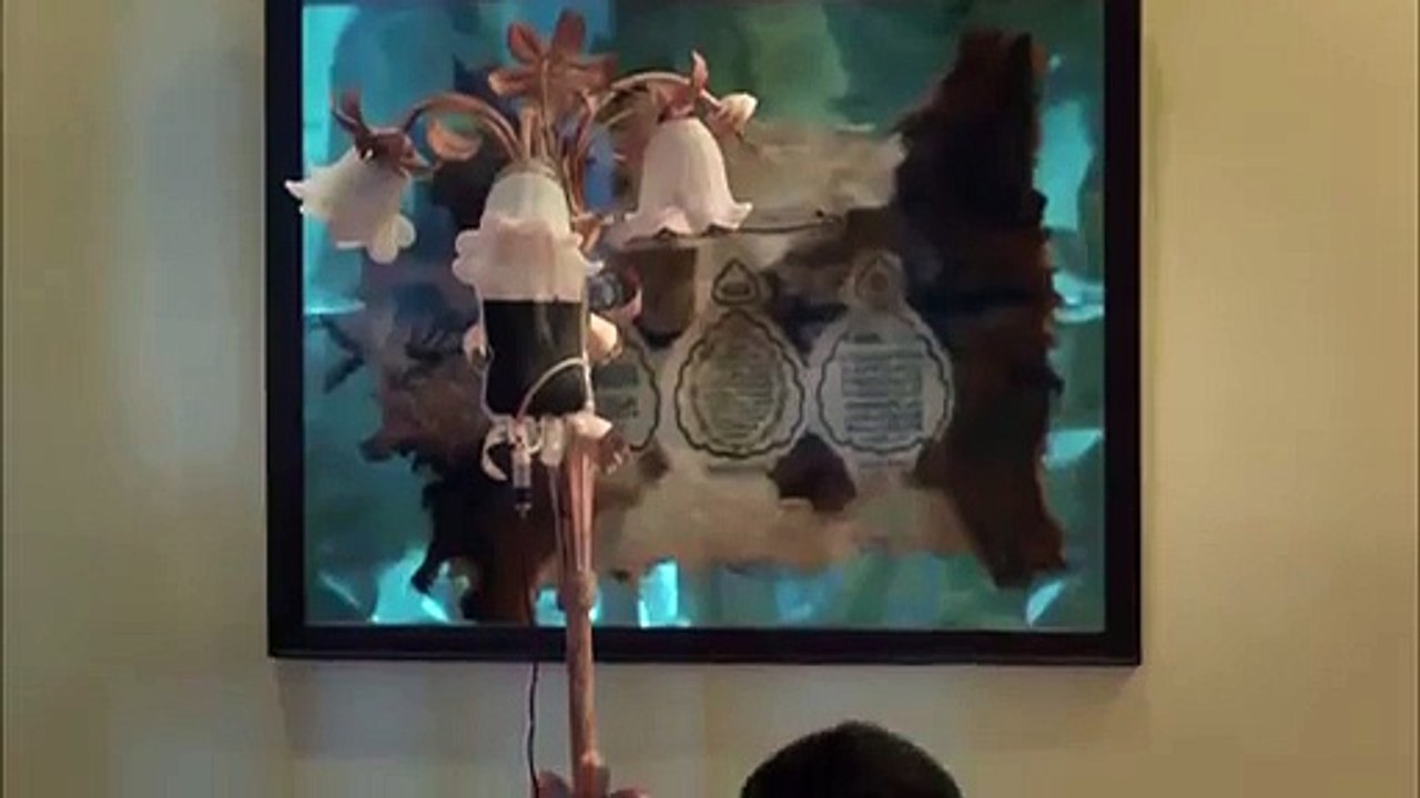 Kurtlar Vadisi Pusu -Yeni Bölüm Fragmanı-  İzle HD