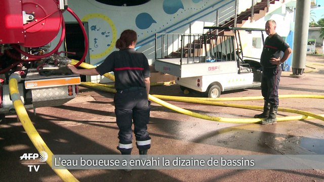 Intempéries dans les Alpes-Maritimes : Une grosse vague est arrivée et a endommagé l'ensemble des installations , déplore le directeur de Marineland