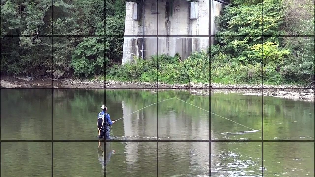 Pêche à la mouche de l'ombre commun