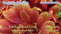 O MISTÉRIO DA MULHER - ANTONIO CARLOS (AUTOR ANTONIO MARCOS PIRES)