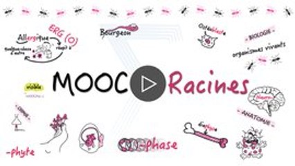 FUN MOOC : De l'atome au corps humain : à la racine des mots scientifiques