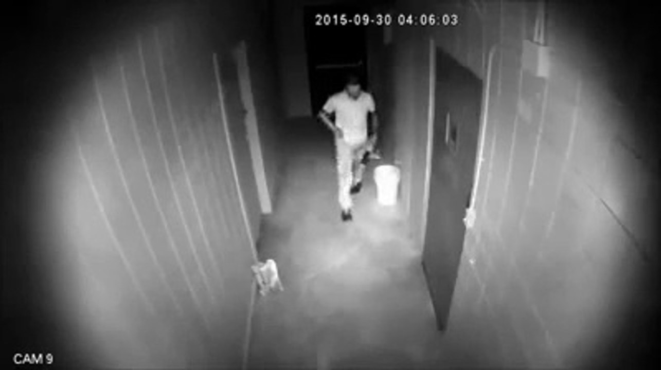 Burglar gets caught, but has hilarious panic escape attempt