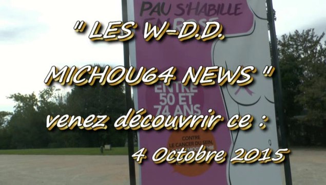 LES W-D.D. MICHOU NEWS - PAU - 4 OCTOBRE 2015 - LE GAZON DU BOULEVARD ET LES DÉCORATIONS EN CENTRE VILLE POUR OCTOBRE ROSE.