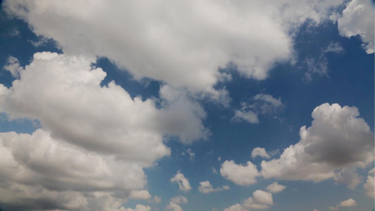 Clouds of bacteria