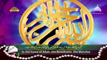 Surah Rehman Qari Syed Sadaqat Ali in HD