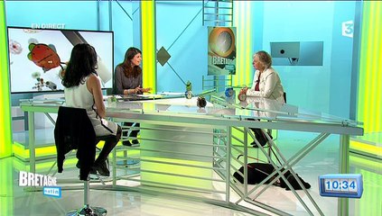 Bretagne Matin : les chiens guides d'aveugle