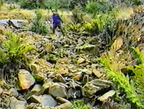 Nature Was My Teacher - The Vision of Viktor Schauberger