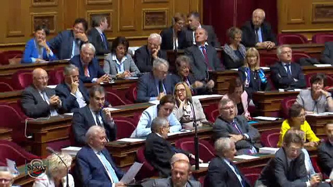 QAG Sénat - Réponse d'H. Désir à G. Jourda sur l'intervention de la France en Syrie