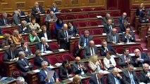 QAG Sénat - Réponse d'H. Désir à A. Gattolin sur le statut de la Chine à l'OMC et position européenne