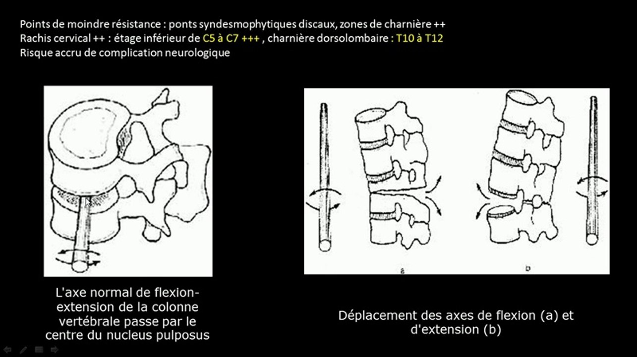 Le bonheur du panda
