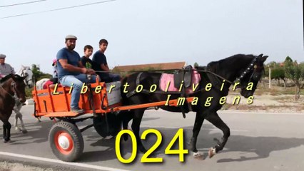 PROVAS DO PASSEIO A CAVALO DE CAJADOS 2015