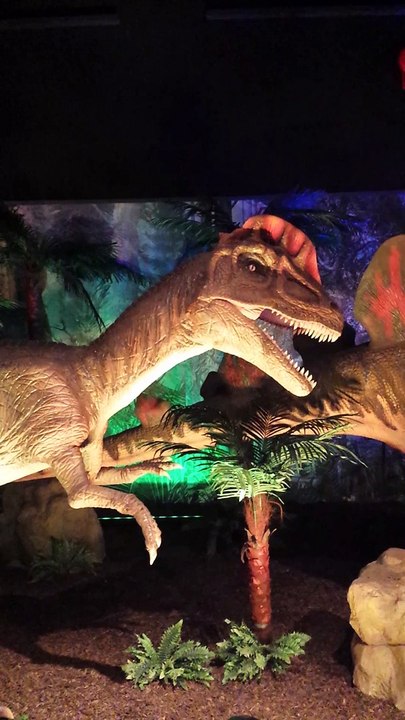 Dino's gone wild