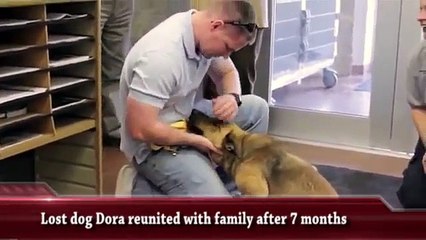 People reunited with animals - heartfelt moments of joy