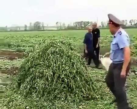 Policeman trying to burn big mass of hashish but almost burns himself