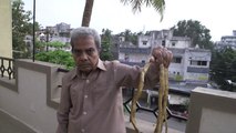 Longest fingernails in History