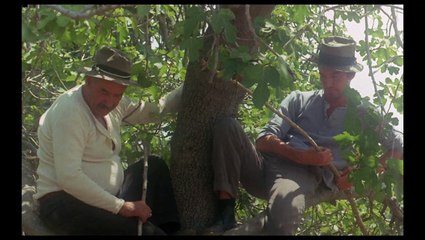 JOE HILL EXTRAIT 1 Les Poules