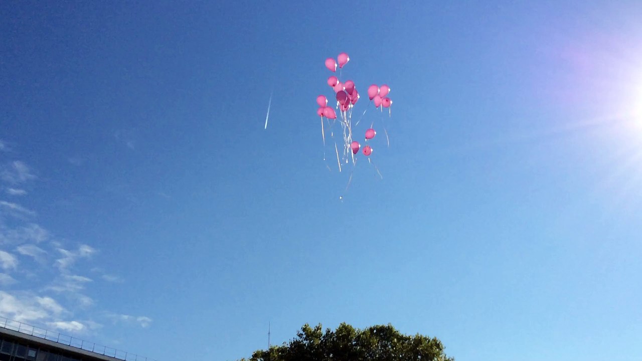Octobre rose à la préfecture de l'Essonne - Lâc...