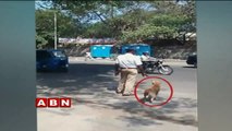 Even a Dog follows Traffic Rules