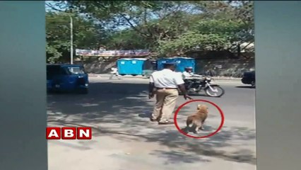 Even a Dog follows Traffic Rules