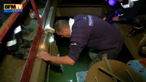 Marineland: à la recherche d'un bébé tortue perdu à cause des inondations