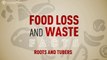 Food loss and waste facts – Roots and tubers