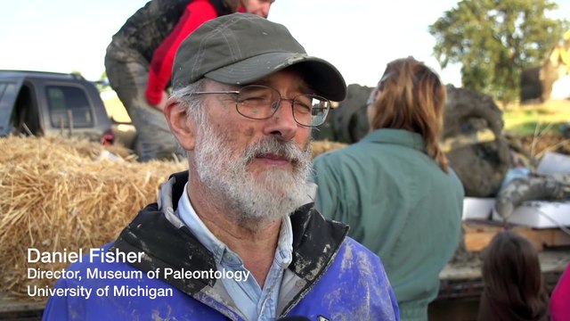 Un squelette de mammouth découvert aux Etats Unis