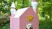 World's Most Expensive Dog Houses